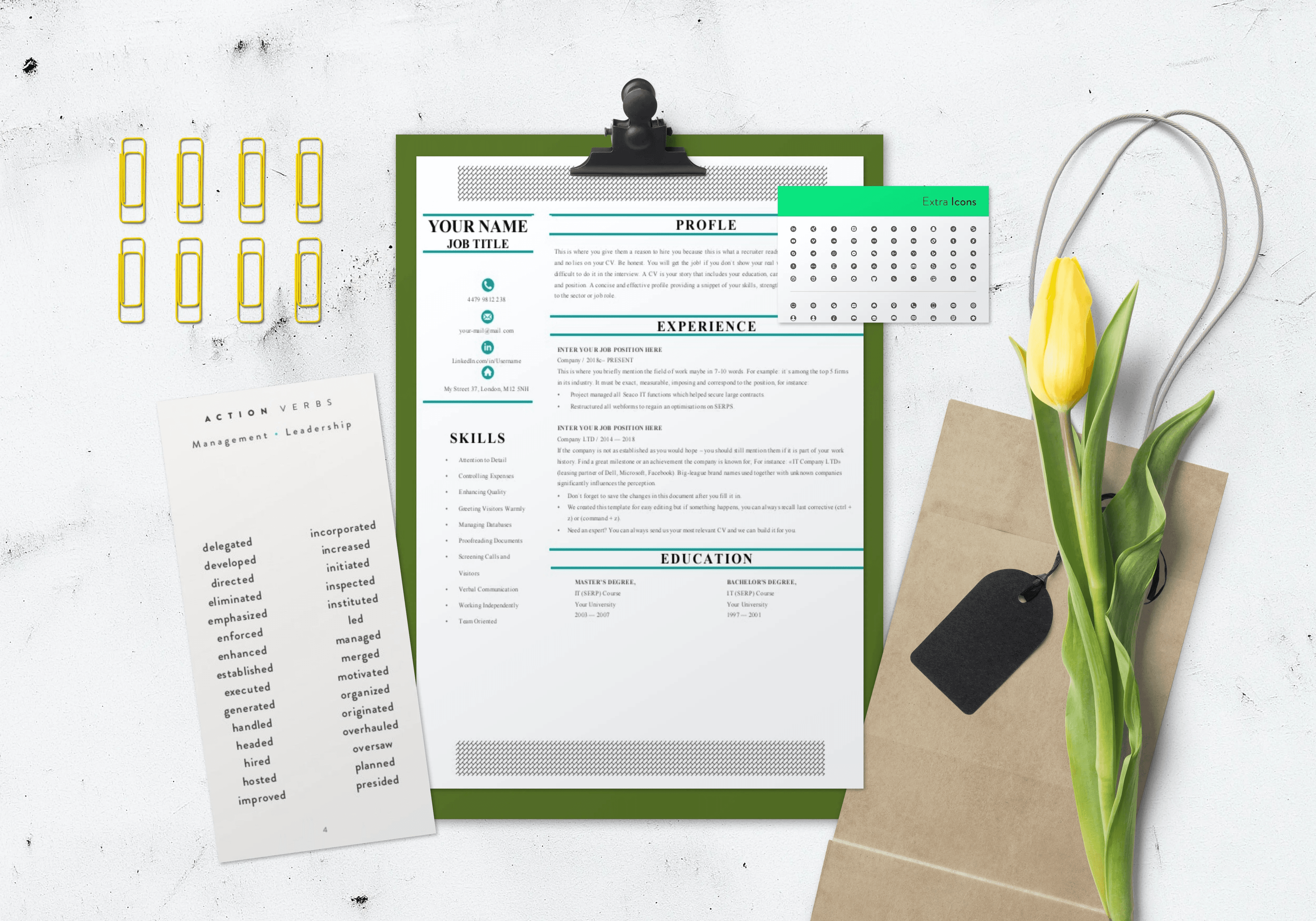 Studio Career CV