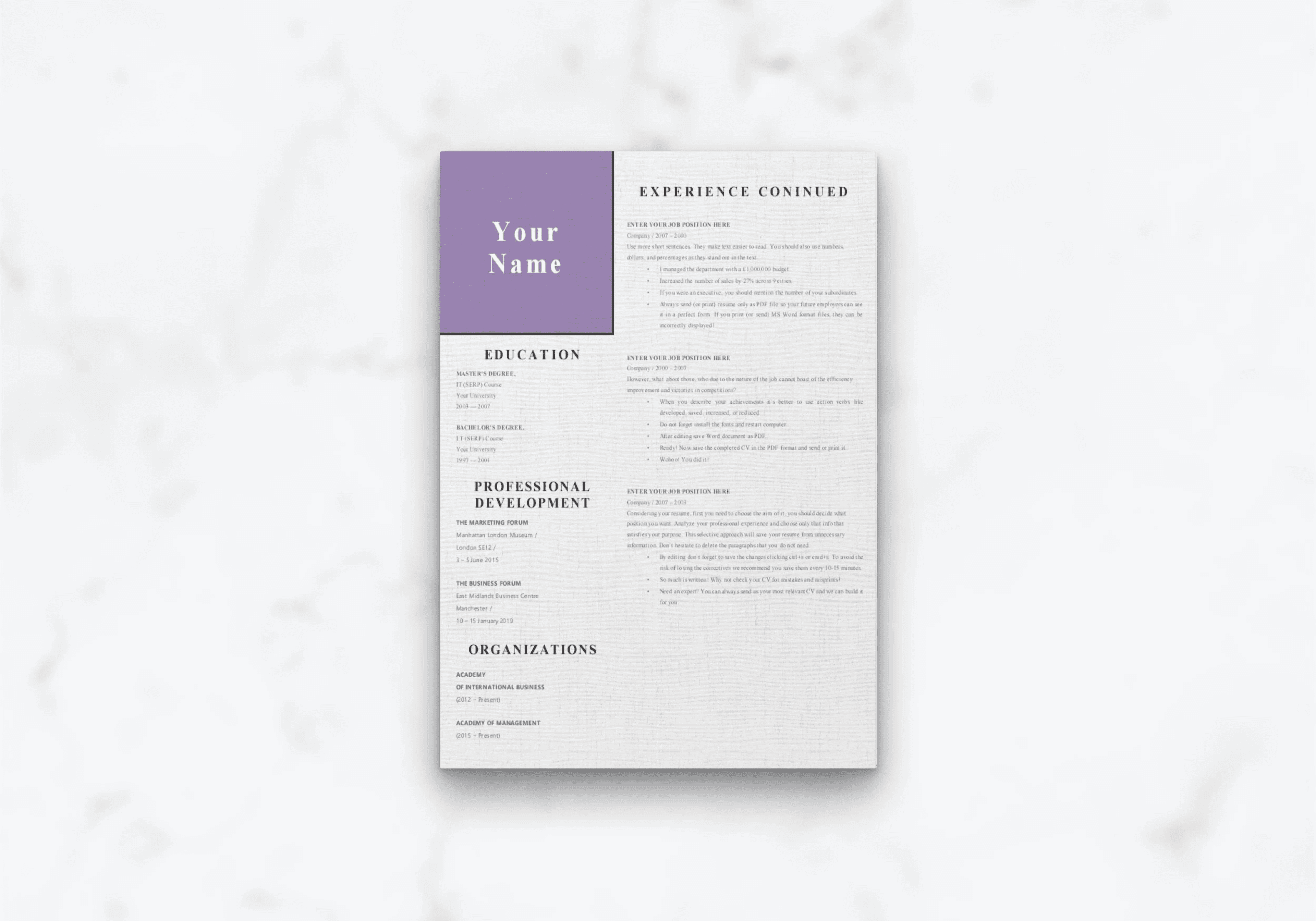 Easy CV - 2-page colour layout